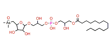 AsSugPL 692